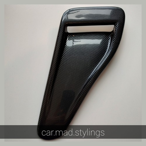 Abs carbon evo naca style - carbon,