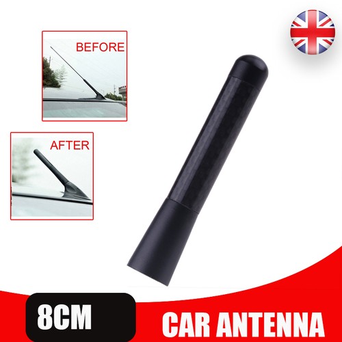 Car aerial bee - aerial, sting